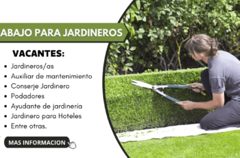 trabajos y empleos para jardineros